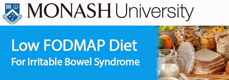 monash university low fodmap diet guide