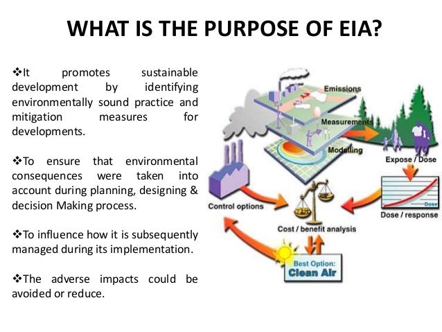 sample questionnaire for environmental impact assessment